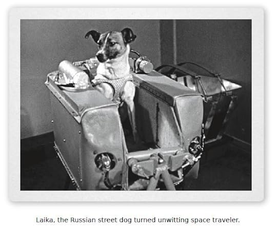 laika