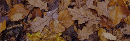 A cluster of Devon leaves