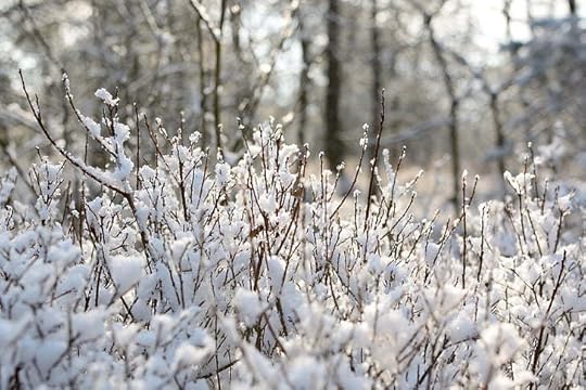 Image tag: aesthetic, image quantity: 1031 | tag | Hippopx