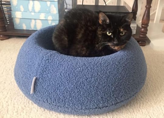 luxury-cat-bed