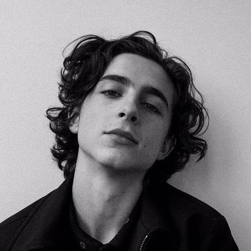 Picture of Timothee Chalamet in General Pictures - timothee-chalamet-1515127933.jpg | Teen Idols 4 You