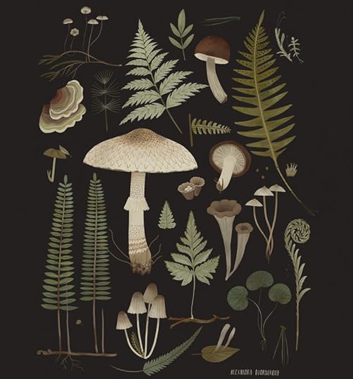 Forest Treasures by Alexandra Dvornikova