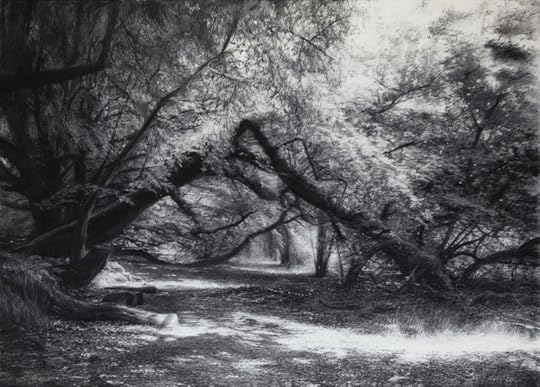 Toward This Place Lightly by Celia de Serra