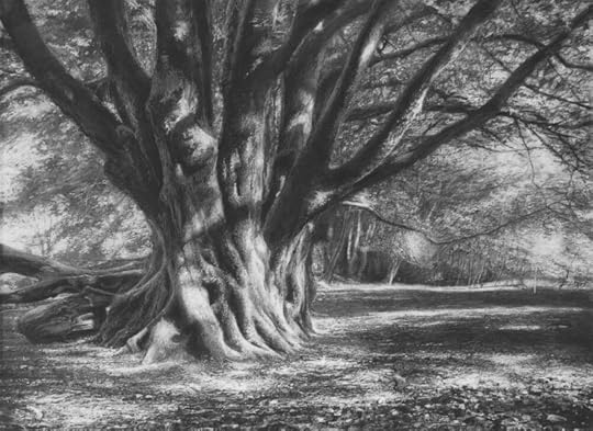 Still There by Celia de Serra
