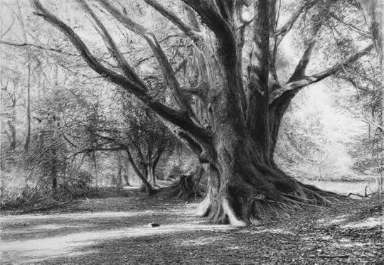 Still Here Too by Celia de Serra