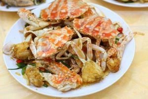 博猫娱乐