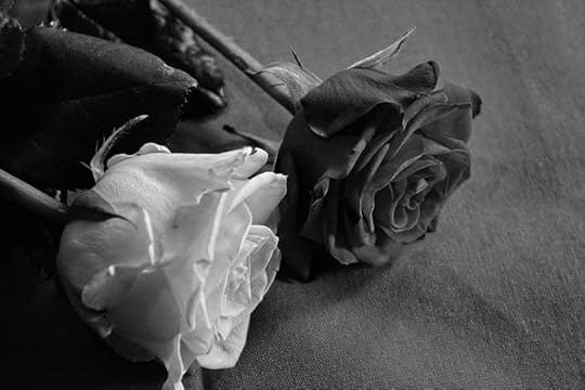 Aukštyn Pridėti prie subrendęs black and white love season 1 - yenanchen.com