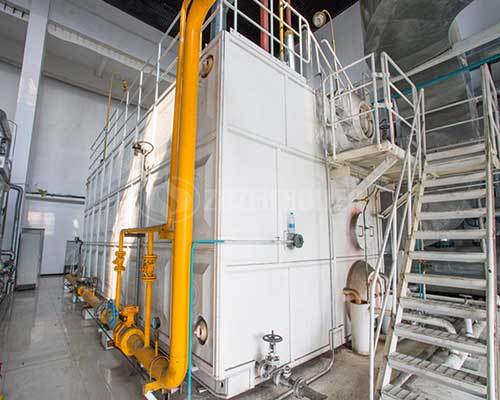 Oil fired steam boiler