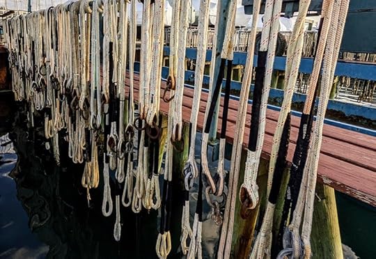 Snubber lines