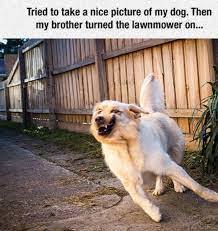 Skylah Payne (skylahpayne) – Profile | Pinterest