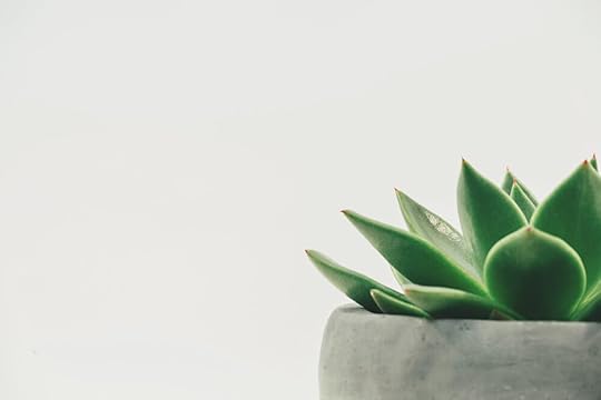 unsplash-image-hDyO6rr3kqk.jpg