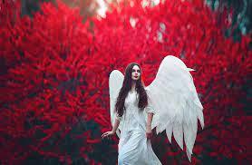 A girl with angel wings near blood-red trees. Photograph by Marina Zharinova