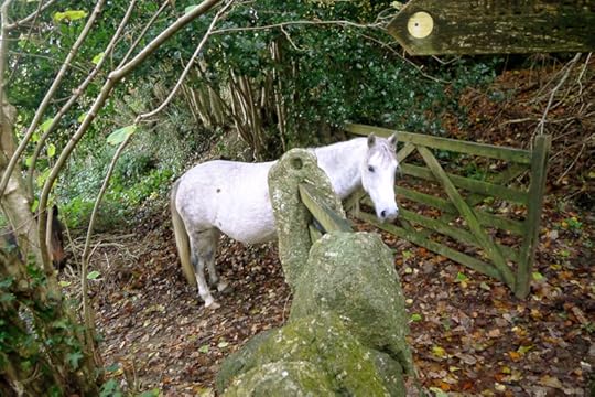 Pony 2