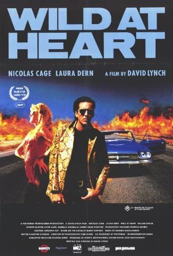 Amazon.com: Wild at Heart: Prints: Posters & Prints