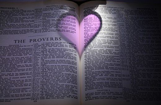 Bible, Proverbs, Heart, Purple, Pink