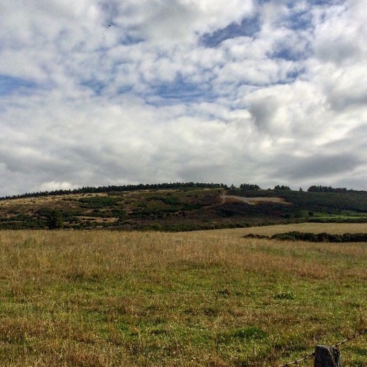 The White Horse on Mormond Hill as seen from the distance