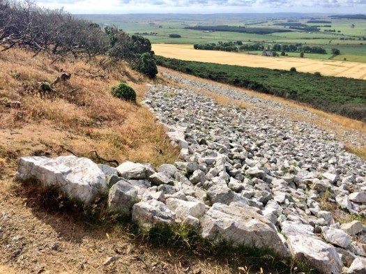 Ear of the white horse on Mormond Hill