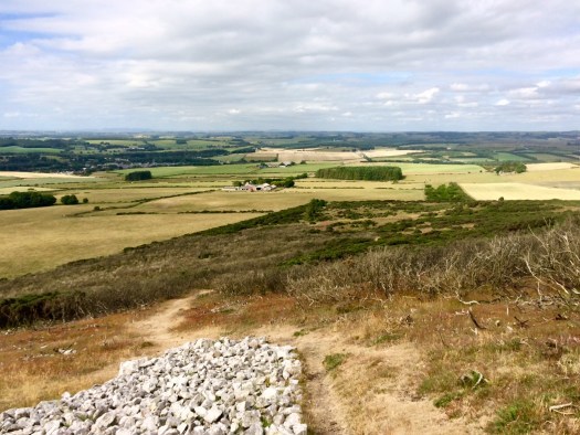 The nose of the white horse on Mormond hill.