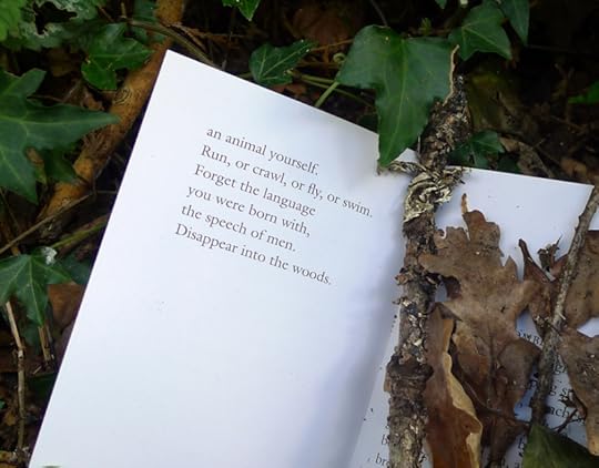 Seven Little Tales