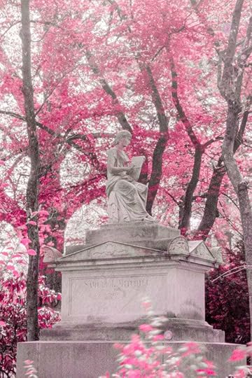 Cemetery Infrared Photography