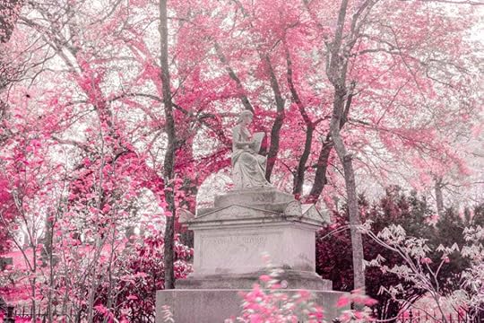 Pink Infrared Monument