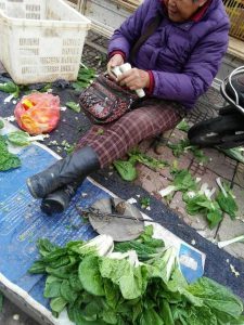 博猫娱乐