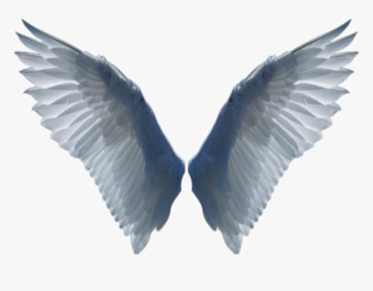 Wings Png - Bird Wing Png, Transparent Png , Transparent Png Image - PNGitem