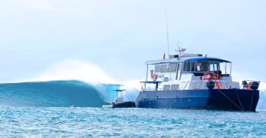 Wild Cat Photo 14.png