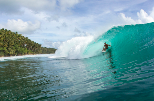 Surfing with Wild Cat Charters