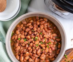 Batch of cooked Pinto Beans with an Instant Pot on the Side