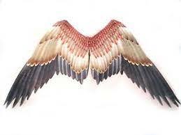 Large Hawk Wings Bird Printed Feathered Adult Costume Accessory 47