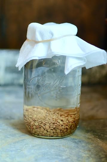 A quart jar filled with soaking lentils, topped with a paper towel
