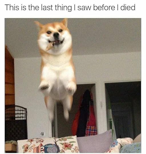 39 Feel Good Memes to Make You Smile and Happy - Music Raiser