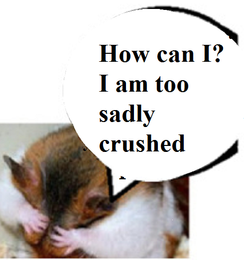 This image has an empty alt attribute; its file name is zdickwords.png