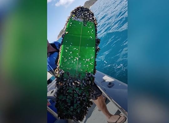 Danny Griffiths surfboard lost at sea