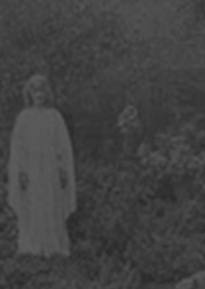 Ghost in the garden