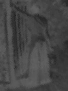 garden ghost 3