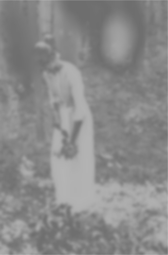 Garden ghost 2