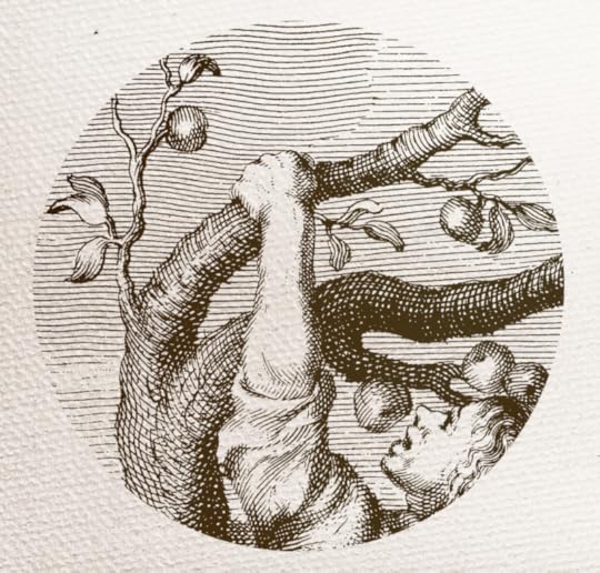 Studying Western Magic 1