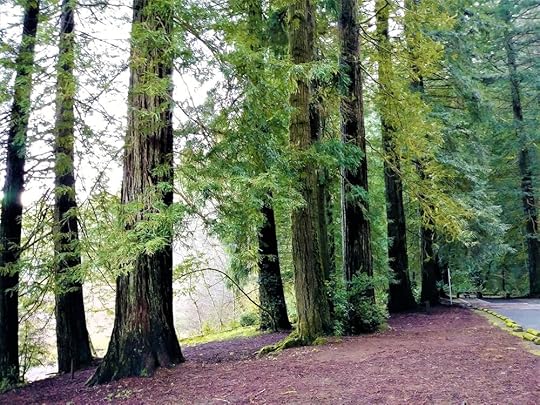 20180202_085048 (2).jpg