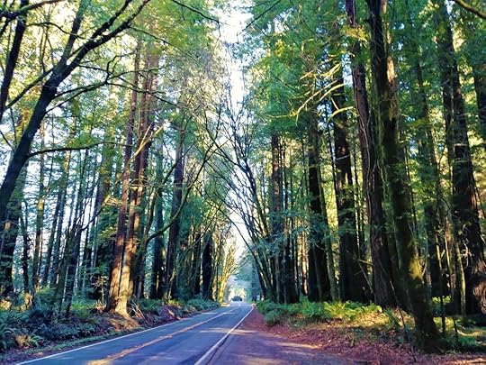 20180202_134508 (2).jpg