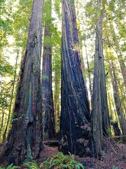 20180202_135439 (2).jpg