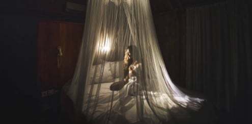 May be an image of mosquito net