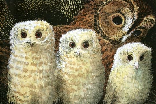 Owl Babies by Patrick Benson