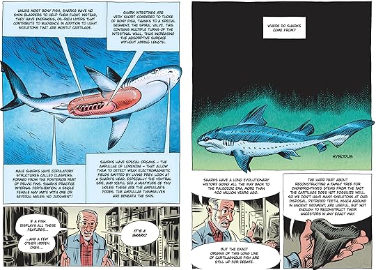 8281-ED12-B43-B-40-A1-9495-672777-FB7-B85