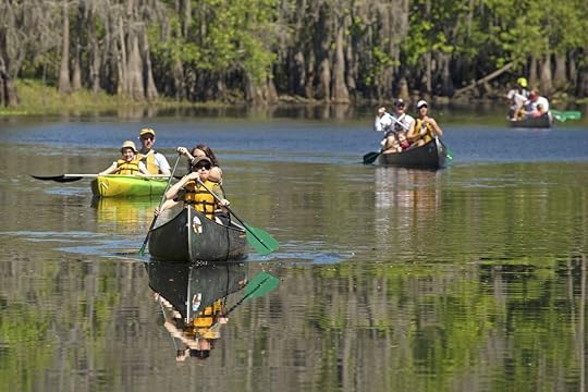 People canoeing