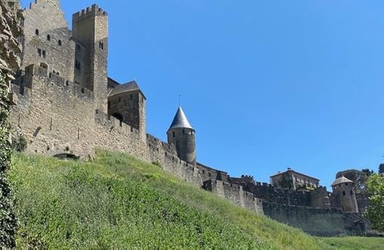 IMG_5126.jpeg