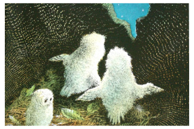 Owl Babies illustrated by Patrick Benson
