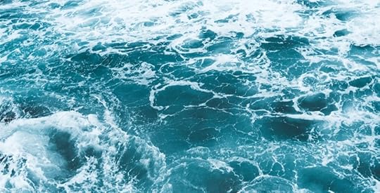 World Oceans Day: solutions to protect our oceans!