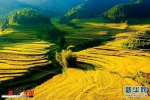博猫娱乐